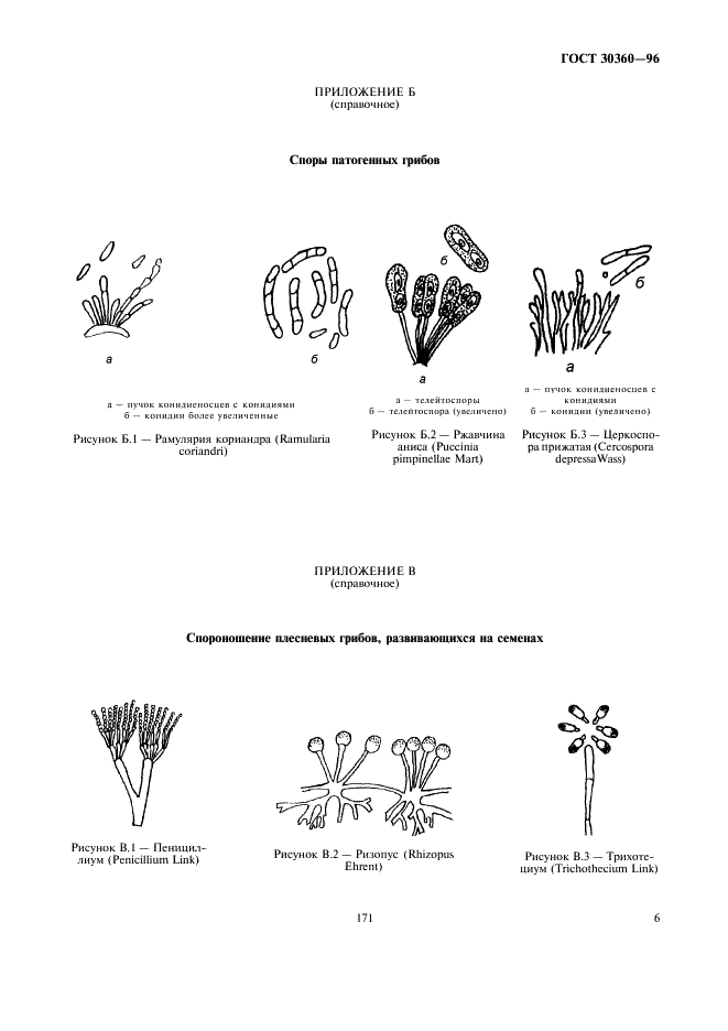 ГОСТ 30360-96 Семена эфиромасличных культур. Методы определения зараженности болезнями (фото 8 из 9)