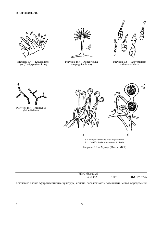 ГОСТ 30360-96 Семена эфиромасличных культур. Методы определения зараженности болезнями (фото 9 из 9)